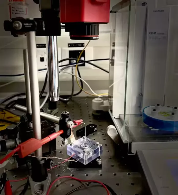 New 3-Layer Nanodevice Boosts Energy Generation 5x Using Light, Heat and Salt Water